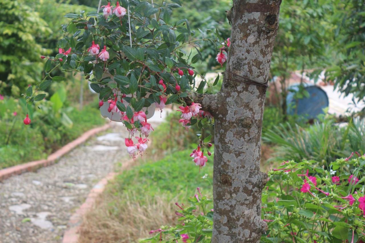 Thang Nam Ruc Ro - Dalat Homestay מראה חיצוני תמונה