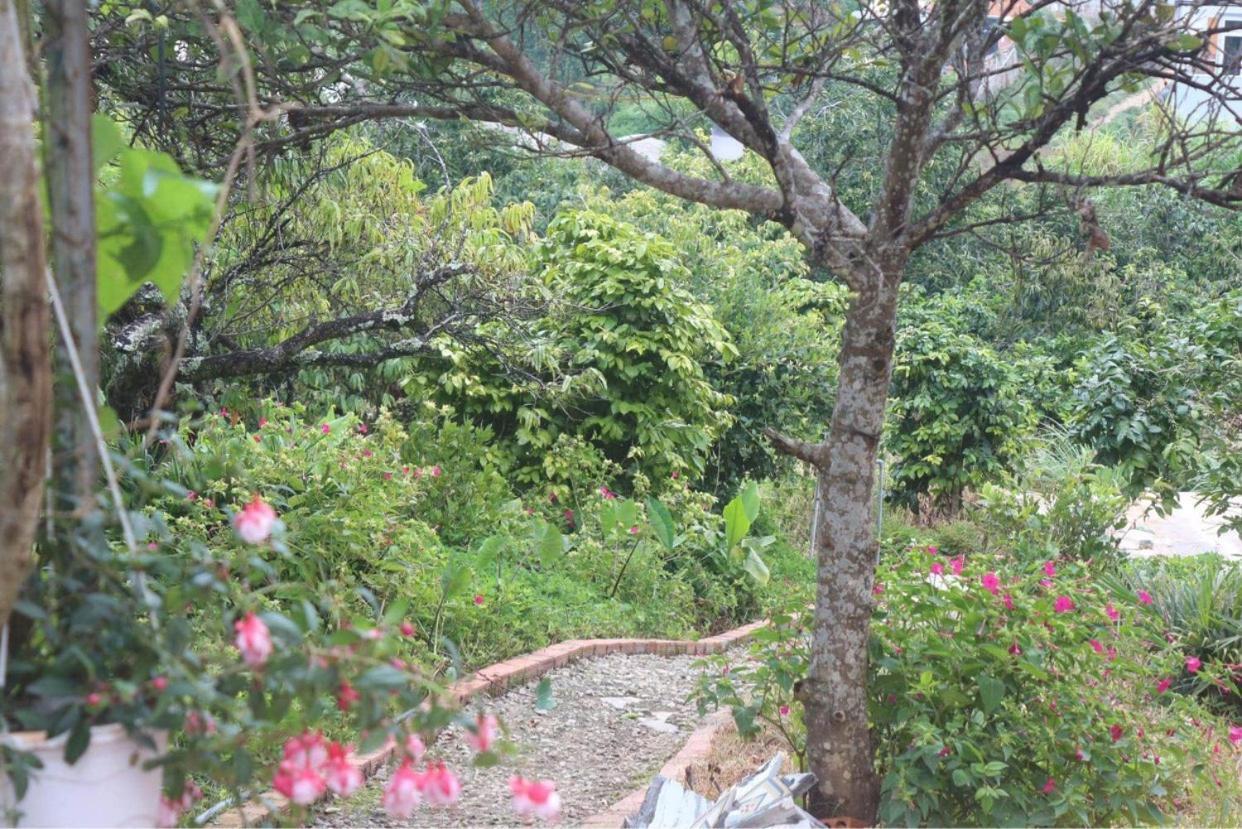 Thang Nam Ruc Ro - Dalat Homestay מראה חיצוני תמונה